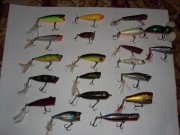 Resize of DSC00390.JPG