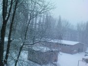 DSC02073.JPG