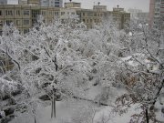 PC280001.JPG