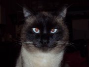 Resize of DSC00469.JPG