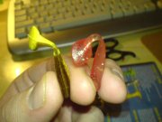 DSC00020.jpg
