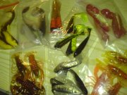 DSC00022.JPG