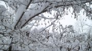 Изображение 053.jpg