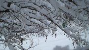 Изображение 054.jpg