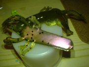 DSC00k002.JPG