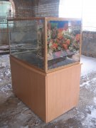 IMG_1574.JPG