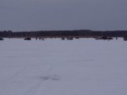 Resize of DSC00778.JPG