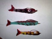 12022010235.jpg