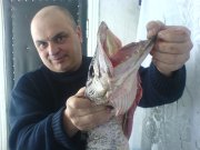 DSC01126.JPG