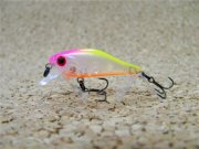 Chirful 34SR new.jpg