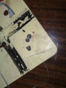 17022010241.jpg