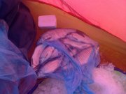 17022010083.jpg