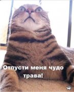 1264252268_07.jpg