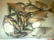 DSC02057.JPG