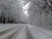 21022010987.jpg