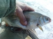 DSC02252.JPG