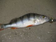 IMG_0760.jpg
