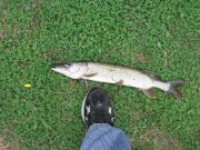 IMG_0776.jpg