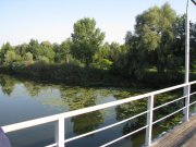 IMG_0572.jpg