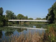 IMG_0563.jpg
