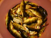 DSC00947.JPG