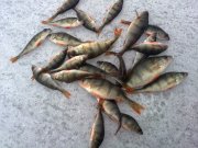 28022010014.jpg