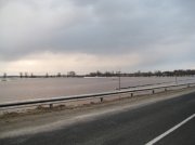 IMG_0569.jpg