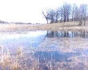 IMG034.JPG