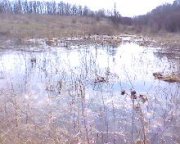IMG035.JPG