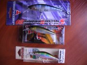 PIC_0989.JPG
