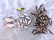 IMG012.JPG