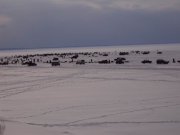 Resize of DSC01078.JPG