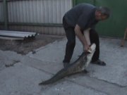 Захваченный кадр 1.jpg