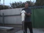 Захваченный кадр 2.jpg