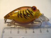 DSC02867.JPG