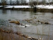 11032010444.jpg