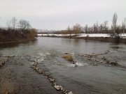 11032010446.jpg
