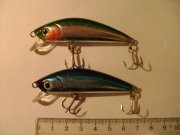 DSC02870.JPG