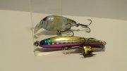 DSC02052.JPG