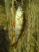DSC00020.JPG