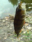 DSC00030.JPG
