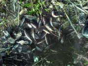 DSC00024.JPG