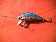 PIC_1016.JPG