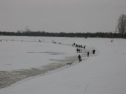 IMG_4160.jpg