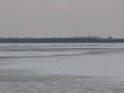 IMG_4161.jpg