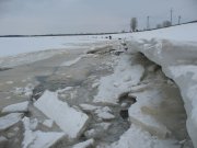 IMG_4162.jpg