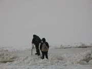 IMG_4167.jpg