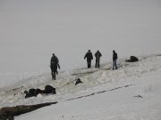 IMG_4168.jpg