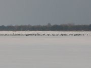 IMG_4169.jpg