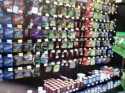 downsized950311001825[1].JPG